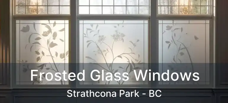  Frosted Glass Windows Strathcona Park - BC