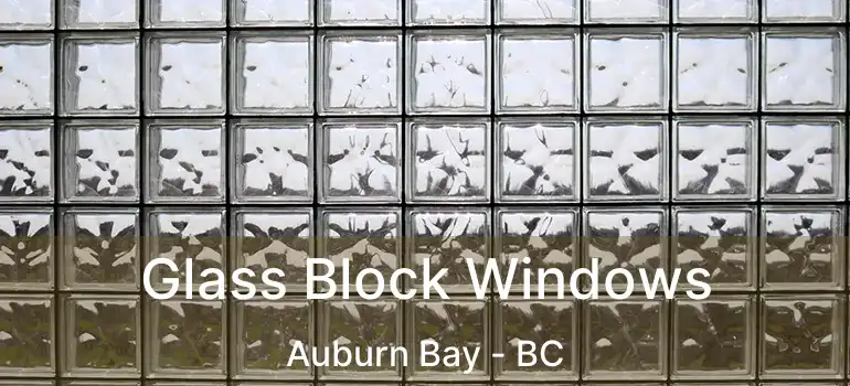  Glass Block Windows Auburn Bay - BC