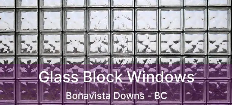  Glass Block Windows Bonavista Downs - BC