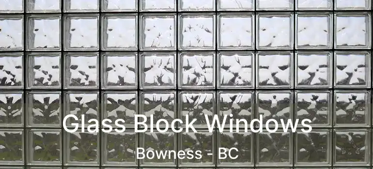  Glass Block Windows Bowness - BC