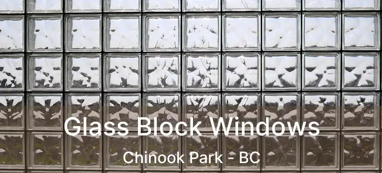 Glass Block Windows Chinook Park - BC