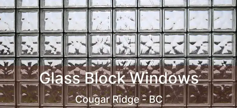  Glass Block Windows Cougar Ridge - BC