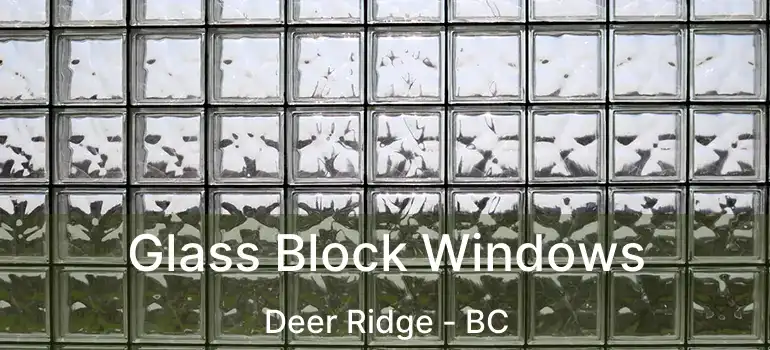  Glass Block Windows Deer Ridge - BC