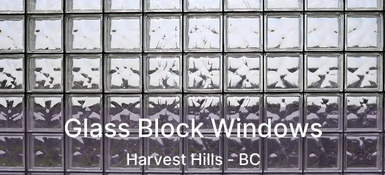  Glass Block Windows Harvest Hills - BC