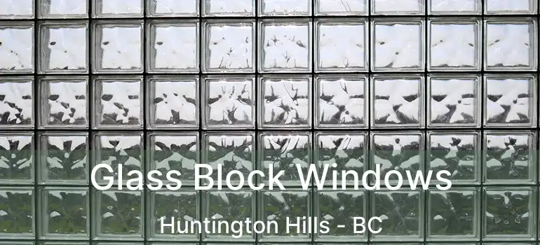 Glass Block Windows Huntington Hills - BC