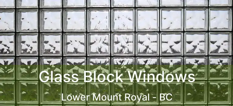  Glass Block Windows Lower Mount Royal - BC