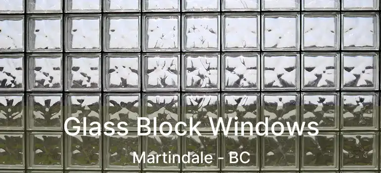 Glass Block Windows Martindale - BC
