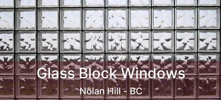  Glass Block Windows Nolan Hill - BC