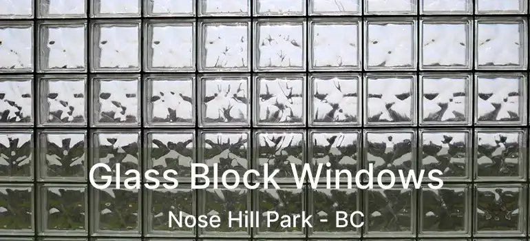  Glass Block Windows Nose Hill Park - BC