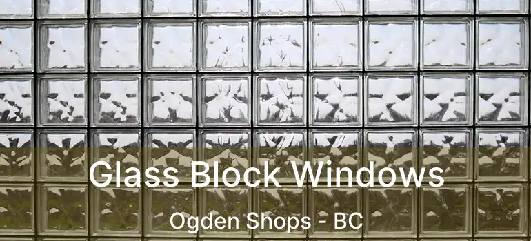  Glass Block Windows Ogden Shops - BC