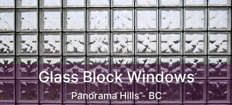  Glass Block Windows Panorama Hills - BC