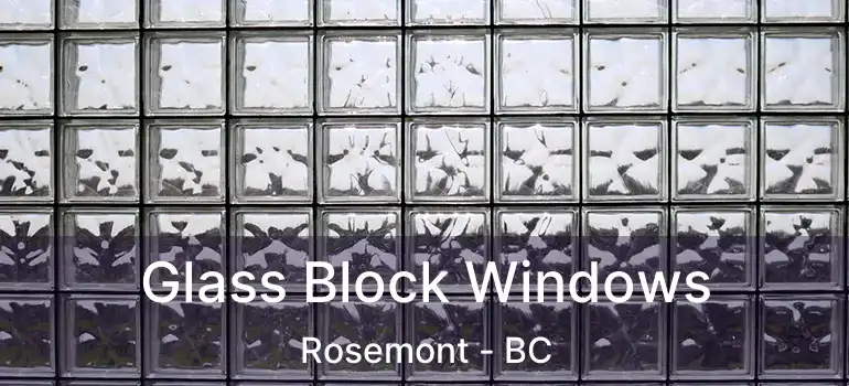  Glass Block Windows Rosemont - BC