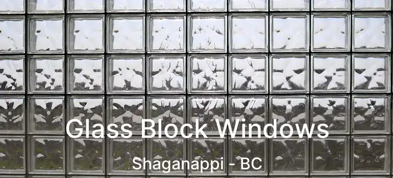  Glass Block Windows Shaganappi - BC