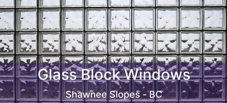  Glass Block Windows Shawnee Slopes - BC