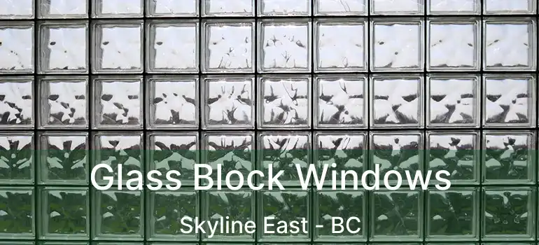  Glass Block Windows Skyline East - BC