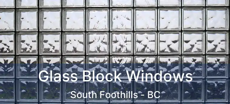  Glass Block Windows South Foothills - BC