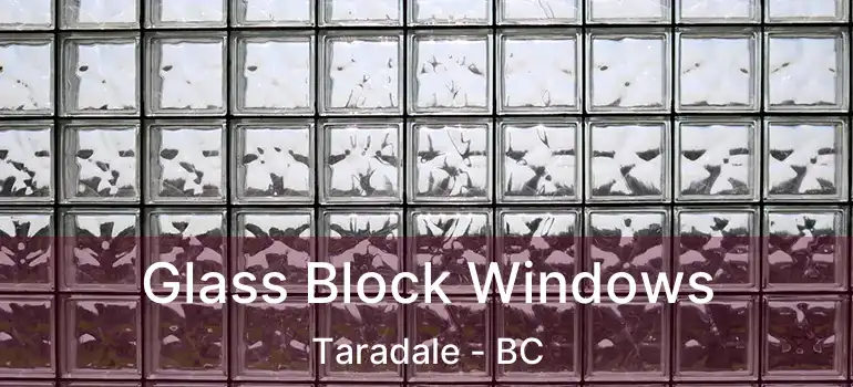  Glass Block Windows Taradale - BC