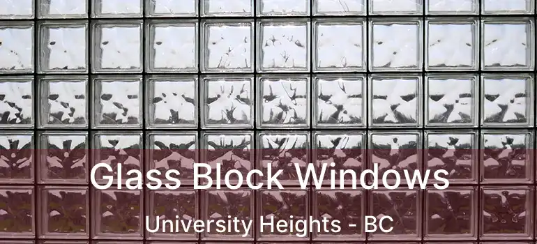  Glass Block Windows University Heights - BC