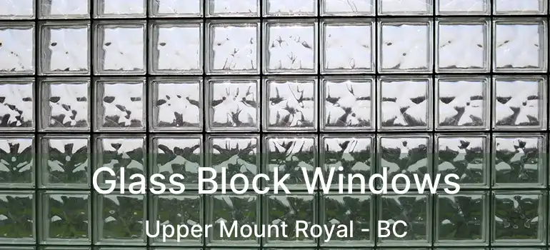  Glass Block Windows Upper Mount Royal - BC