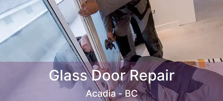  Glass Door Repair Acadia - BC