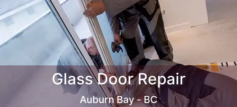  Glass Door Repair Auburn Bay - BC