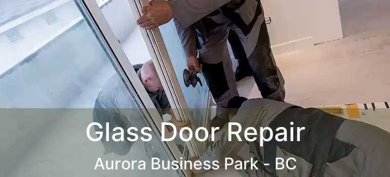  Glass Door Repair Aurora Business Park - BC