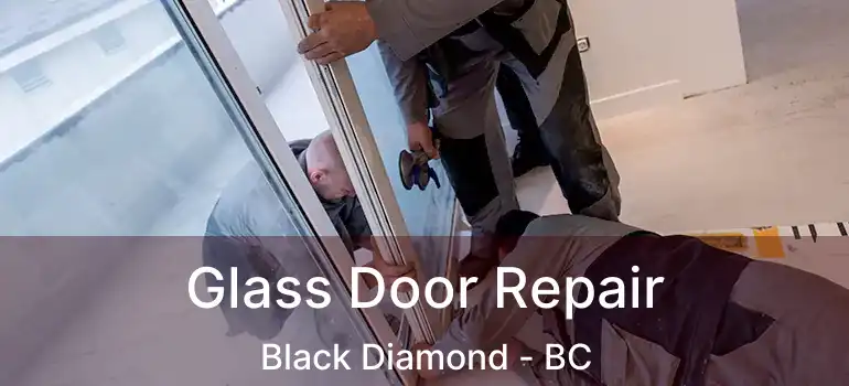  Glass Door Repair Black Diamond - BC