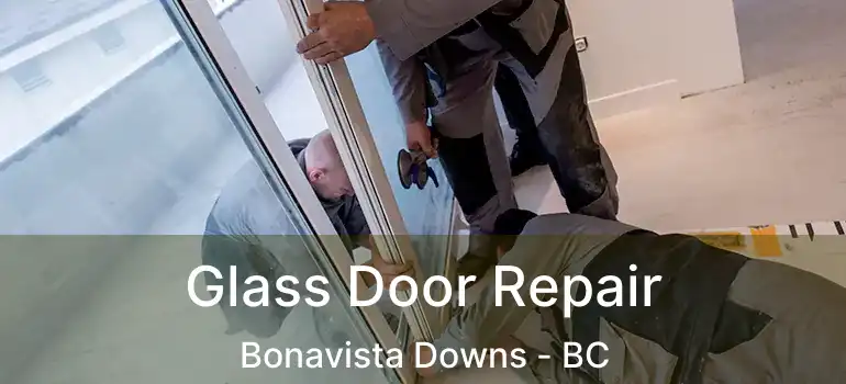  Glass Door Repair Bonavista Downs - BC