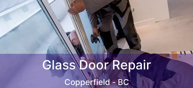  Glass Door Repair Copperfield - BC
