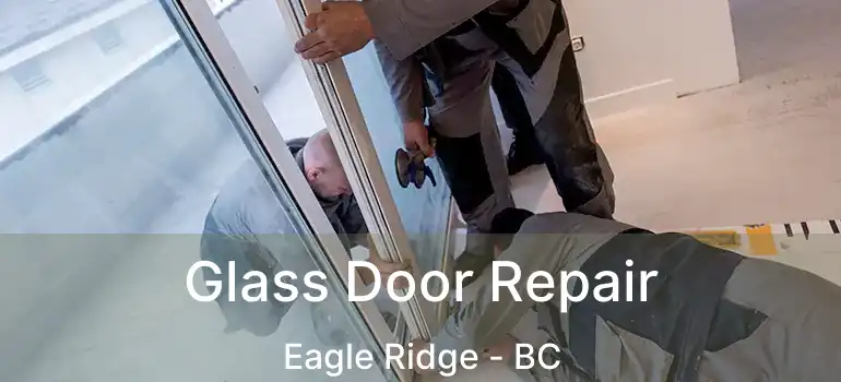  Glass Door Repair Eagle Ridge - BC