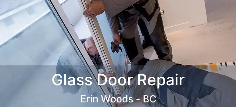  Glass Door Repair Erin Woods - BC