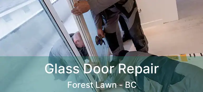  Glass Door Repair Forest Lawn - BC
