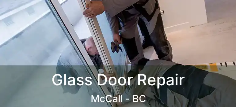  Glass Door Repair McCall - BC