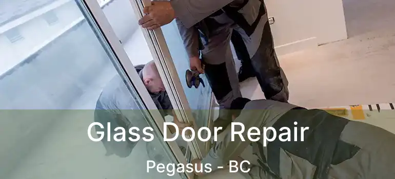  Glass Door Repair Pegasus - BC