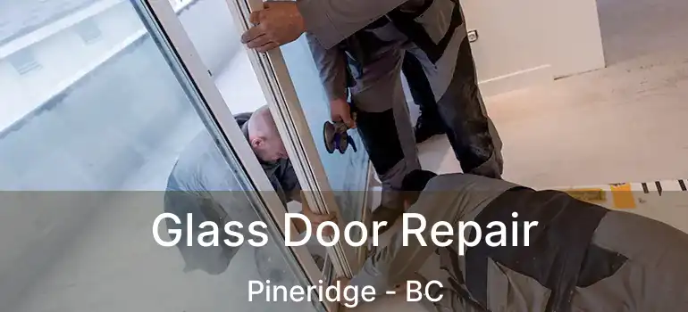  Glass Door Repair Pineridge - BC