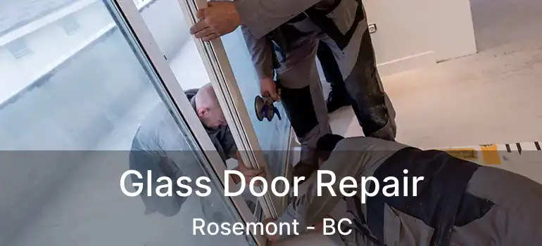  Glass Door Repair Rosemont - BC