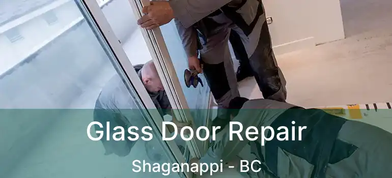  Glass Door Repair Shaganappi - BC