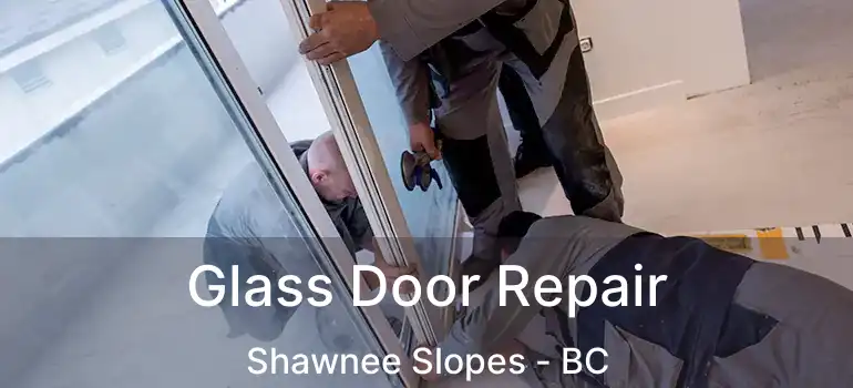  Glass Door Repair Shawnee Slopes - BC