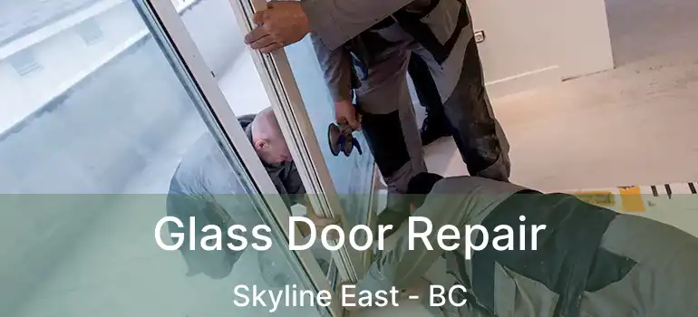  Glass Door Repair Skyline East - BC
