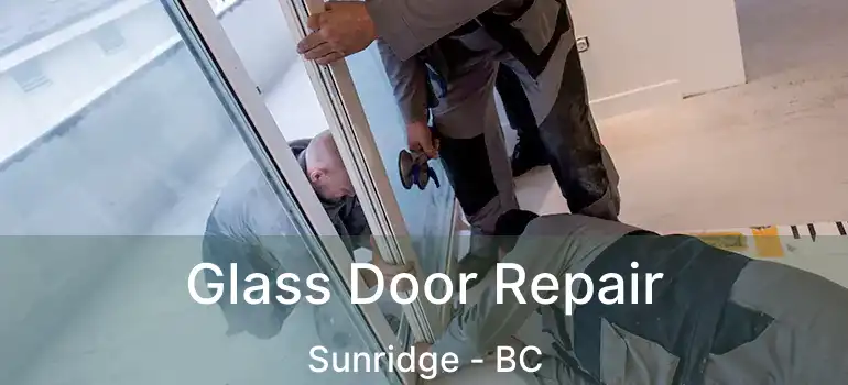  Glass Door Repair Sunridge - BC