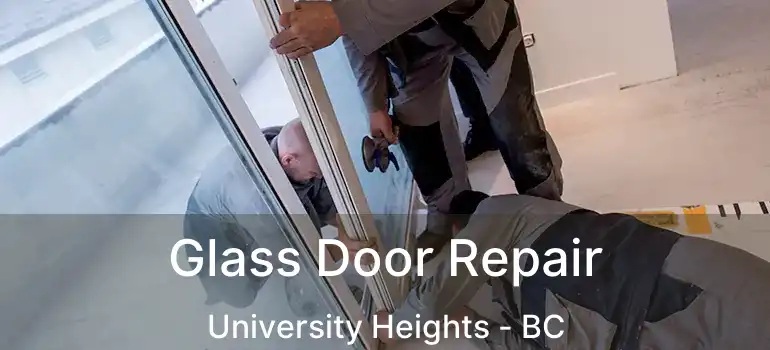  Glass Door Repair University Heights - BC