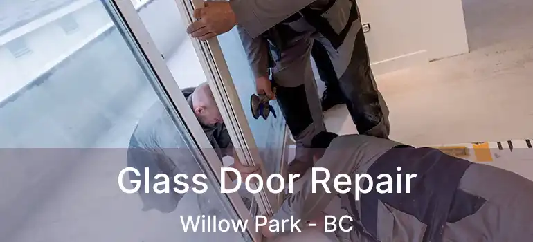  Glass Door Repair Willow Park - BC