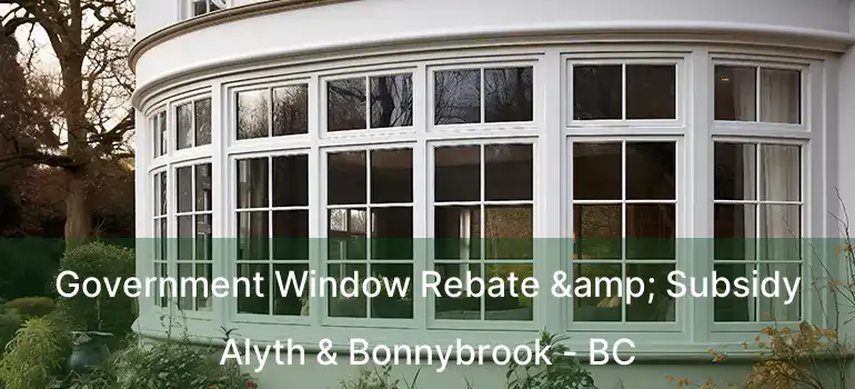 Government Window Rebate & Subsidy Alyth & Bonnybrook - BC