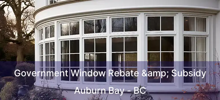  Government Window Rebate & Subsidy Auburn Bay - BC