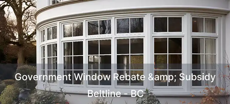  Government Window Rebate & Subsidy Beltline - BC