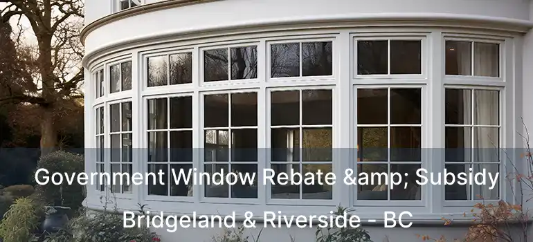 Government Window Rebate & Subsidy Bridgeland & Riverside - BC