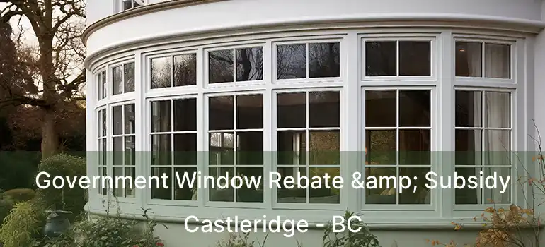  Government Window Rebate & Subsidy Castleridge - BC