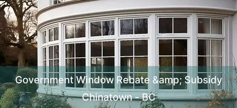  Government Window Rebate & Subsidy Chinatown - BC