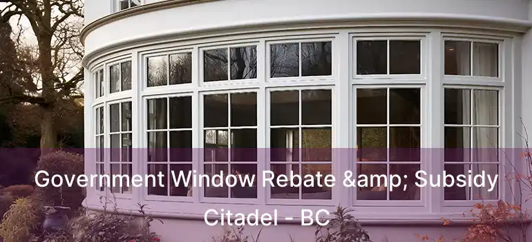  Government Window Rebate & Subsidy Citadel - BC