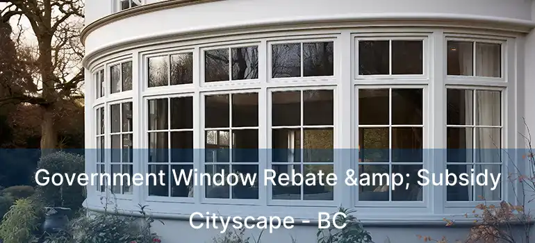  Government Window Rebate & Subsidy Cityscape - BC
